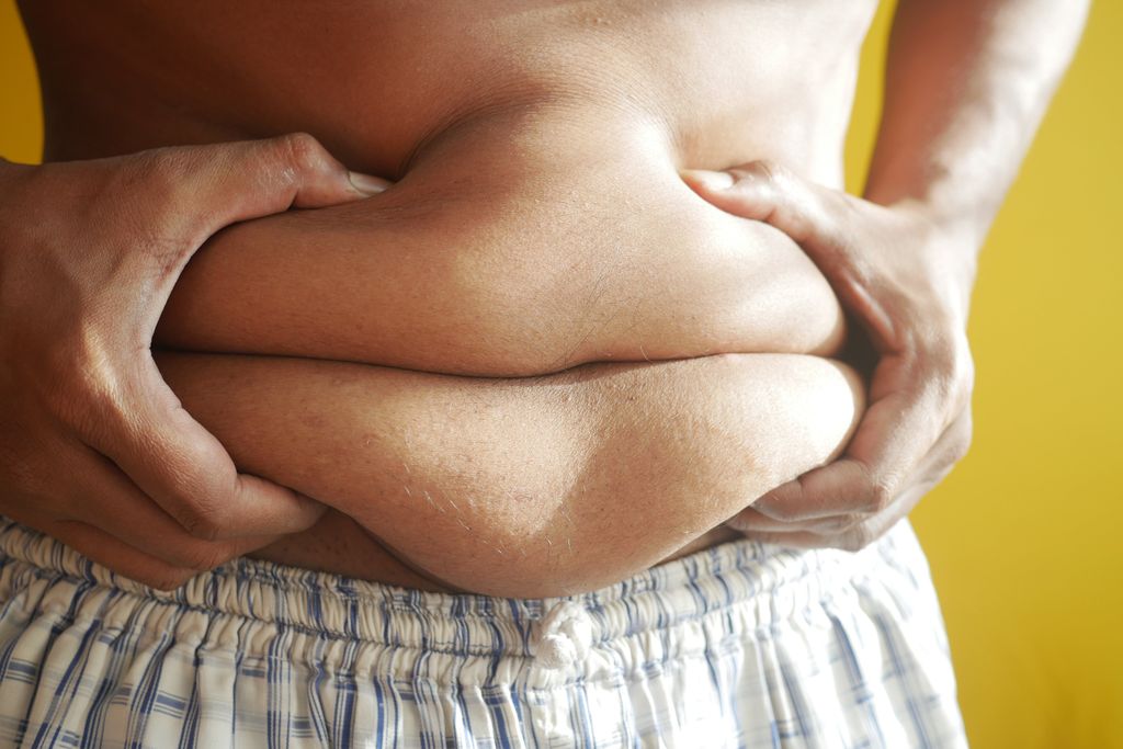 Fettleibigkeit durch Fast Food